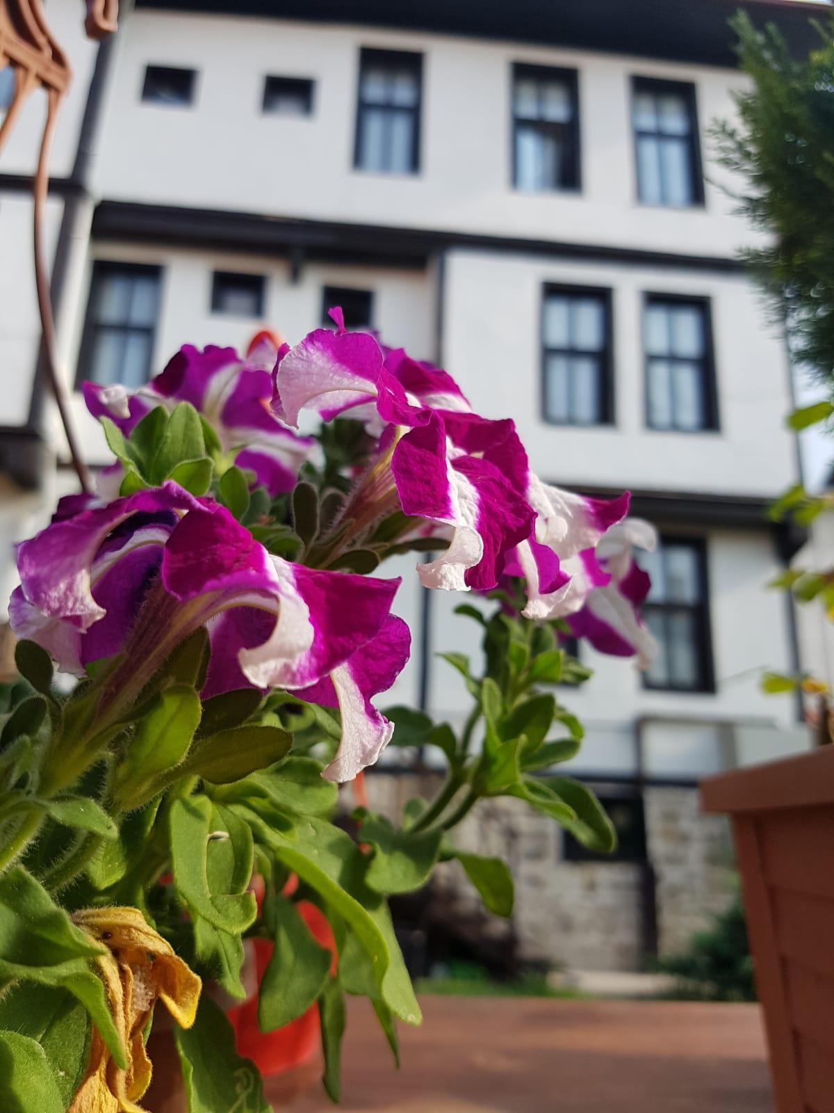 Kadioglu Konagi Hotel Kastamonu Bagian luar foto